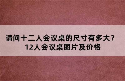 请问十二人会议桌的尺寸有多大？ 12人会议桌图片及价格